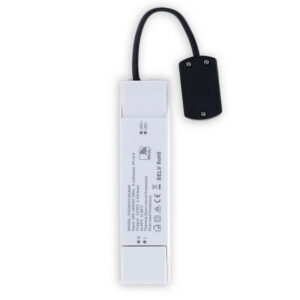 led-driver-voor-max-10x-tolos-baston-met-afstandsbediening